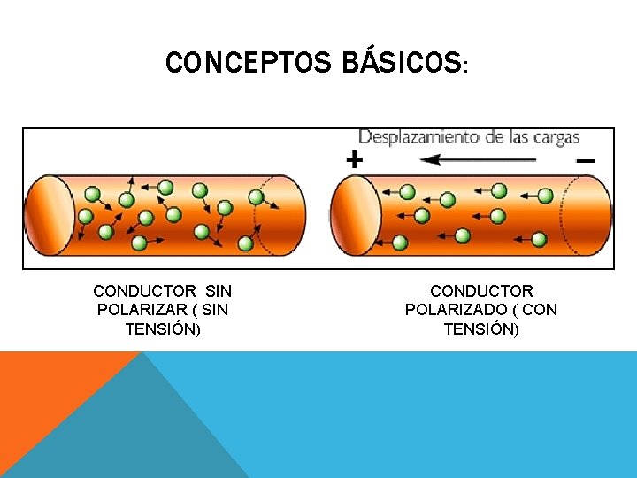 CONCEPTOS BÁSICOS: CONDUCTOR SIN POLARIZAR ( SIN TENSIÓN) CONDUCTOR POLARIZADO ( CON TENSIÓN) 