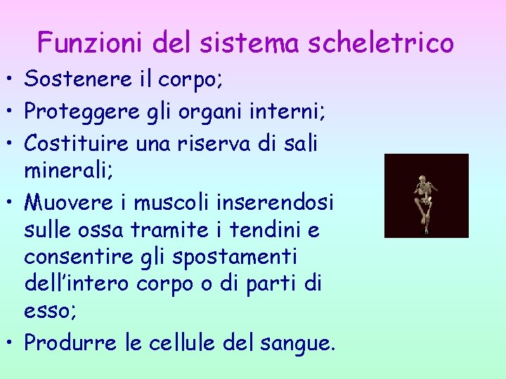 Funzioni del sistema scheletrico • Sostenere il corpo; • Proteggere gli organi interni; •