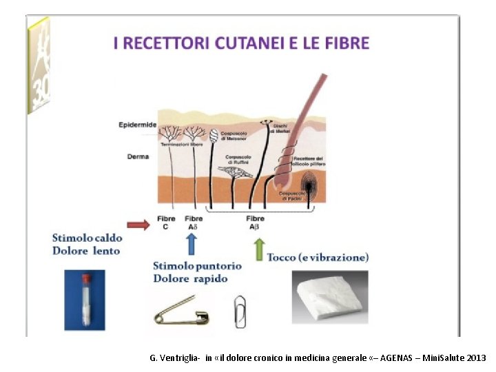 G. Ventriglia- in «il dolore cronico in medicina generale «– AGENAS – Mini. Salute