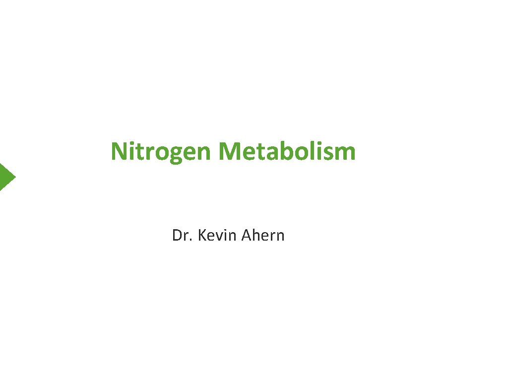 Nitrogen Metabolism Dr. Kevin Ahern 