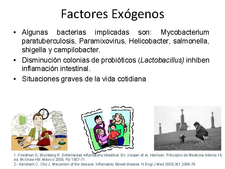 Factores Exógenos • Algunas bacterias implicadas son: Mycobacterium paratuberculosis, Paramixovirus, Helicobacter, salmonella, shigella y Factores Exógenos • Algunas bacterias implicadas son: Mycobacterium paratuberculosis, Paramixovirus, Helicobacter, salmonella, shigella y