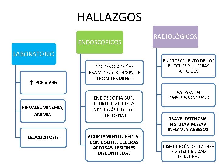 HALLAZGOS ENDOSCÓPICOS LABORATORIO ↑ PCR y VSG HIPOALBUMINEMIA, ANEMIA LEUCOCITOSIS COLONOSCOPÍA: EXAMINA Y BIOPSIA HALLAZGOS ENDOSCÓPICOS LABORATORIO ↑ PCR y VSG HIPOALBUMINEMIA, ANEMIA LEUCOCITOSIS COLONOSCOPÍA: EXAMINA Y BIOPSIA