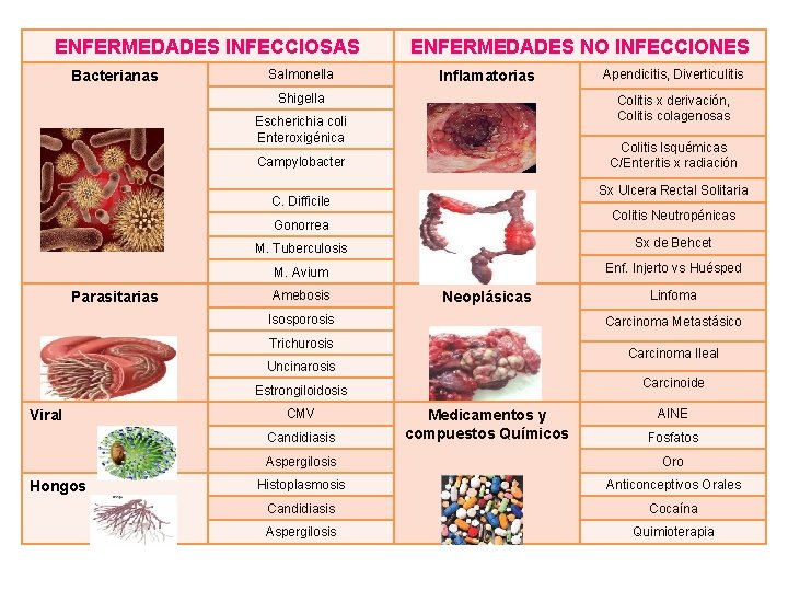 ENFERMEDADES INFECCIOSAS Bacterianas Salmonella ENFERMEDADES NO INFECCIONES Inflamatorias Shigella Colitis x derivación, Colitis colagenosas ENFERMEDADES INFECCIOSAS Bacterianas Salmonella ENFERMEDADES NO INFECCIONES Inflamatorias Shigella Colitis x derivación, Colitis colagenosas