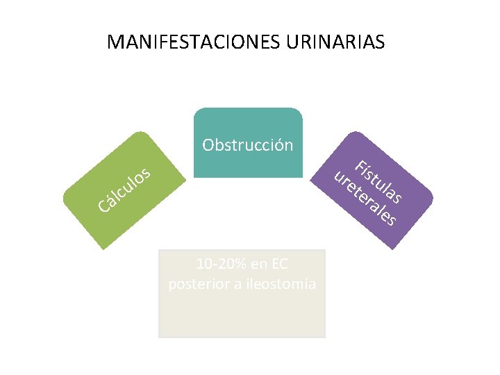 MANIFESTACIONES URINARIAS Obstrucción s o l u lc á C 10 -20% en EC MANIFESTACIONES URINARIAS Obstrucción s o l u lc á C 10 -20% en EC