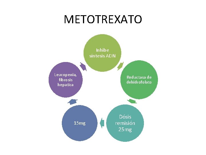 METOTREXATO Inhibe síntesis ADN Leucopenia, fibrosis hepatica 15 mg Reductasa de dehidrofolato Dósis remisión METOTREXATO Inhibe síntesis ADN Leucopenia, fibrosis hepatica 15 mg Reductasa de dehidrofolato Dósis remisión