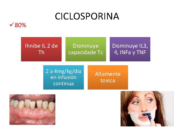 ü 80% CICLOSPORINA Ihnibe IL 2 de Th Disminuye capacidade Tc 2 a 4 ü 80% CICLOSPORINA Ihnibe IL 2 de Th Disminuye capacidade Tc 2 a 4
