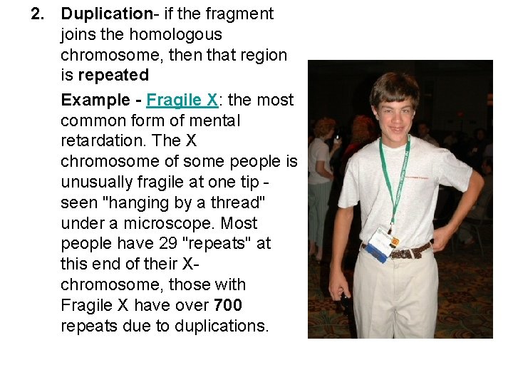 2. Duplication- if the fragment joins the homologous chromosome, then that region is repeated