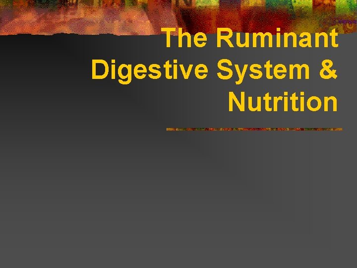 The Ruminant Digestive System & Nutrition 