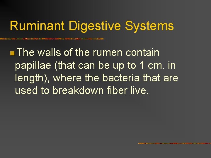 Ruminant Digestive Systems n The walls of the rumen contain papillae (that can be