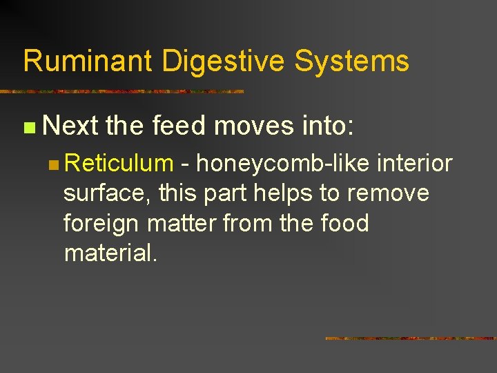 Ruminant Digestive Systems n Next the feed moves into: n Reticulum - honeycomb-like interior