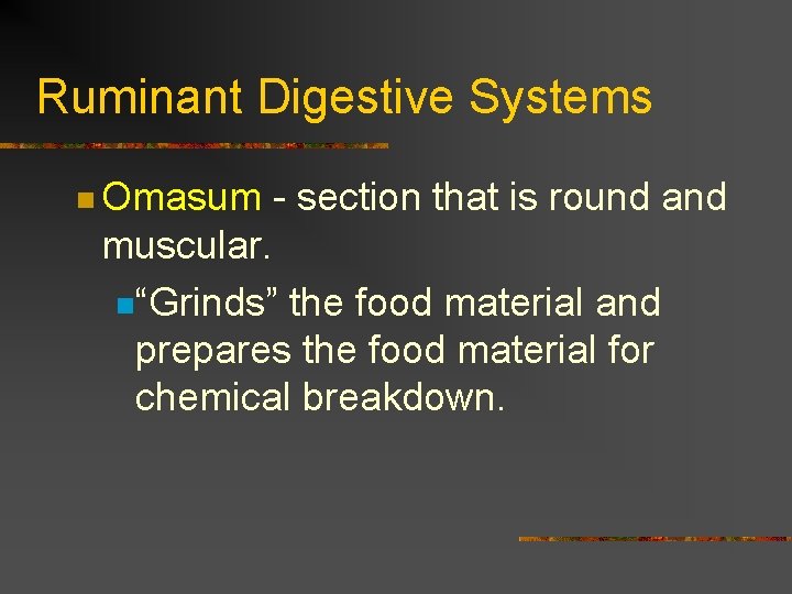 Ruminant Digestive Systems n Omasum - section that is round and muscular. n“Grinds” the