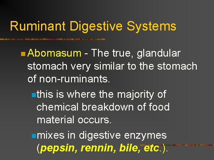 Ruminant Digestive Systems n Abomasum - The true, glandular stomach very similar to the