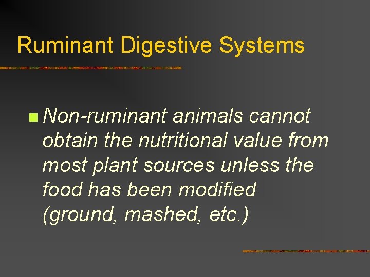 Ruminant Digestive Systems n Non-ruminant animals cannot obtain the nutritional value from most plant