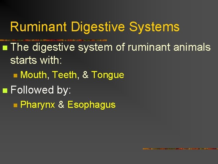 Ruminant Digestive Systems n The digestive system of ruminant animals starts with: n n