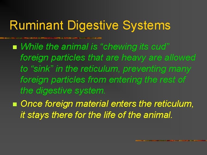 Ruminant Digestive Systems n n While the animal is “chewing its cud” foreign particles