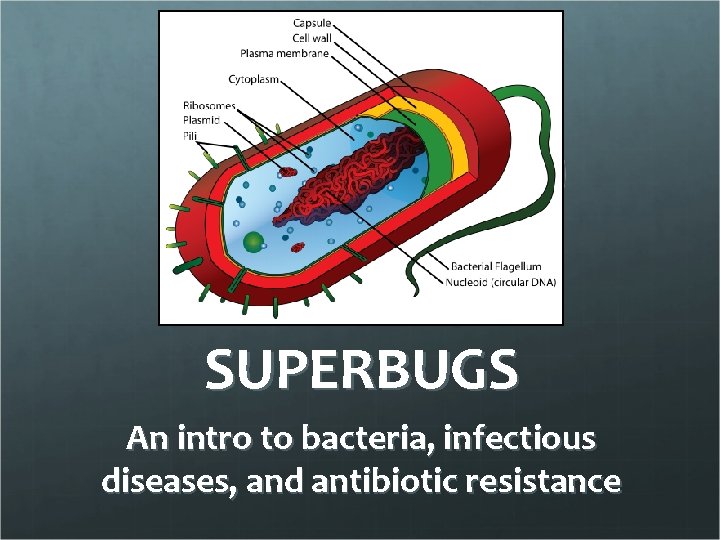 SUPERBUGS An intro to bacteria, infectious diseases, and antibiotic resistance 