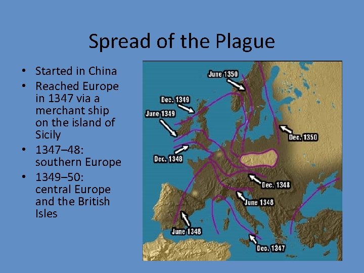 Spread of the Plague • Started in China • Reached Europe in 1347 via