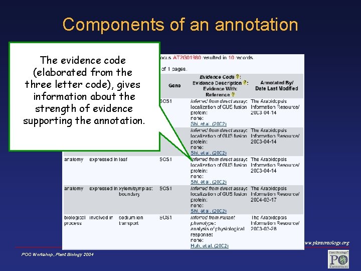 Components of an annotation The evidence code (elaborated from the three letter code), gives