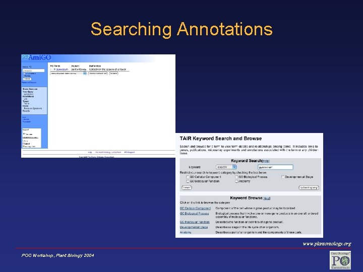 Searching Annotations www. plantontology. org POC Workshop, Plant Biology 2004 