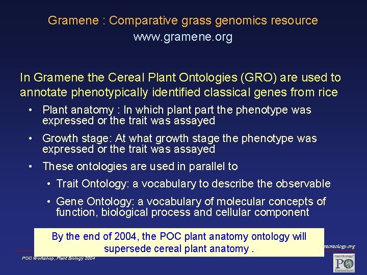 Gramene : Comparative grass genomics resource www. gramene. org In Gramene the Cereal Plant