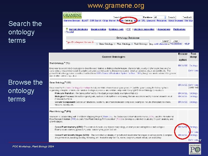 www. gramene. org Search the ontology terms Browse the ontology terms www. plantontology. org