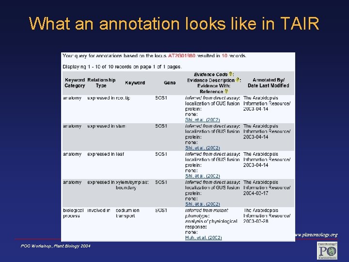 What an annotation looks like in TAIR www. plantontology. org POC Workshop, Plant Biology