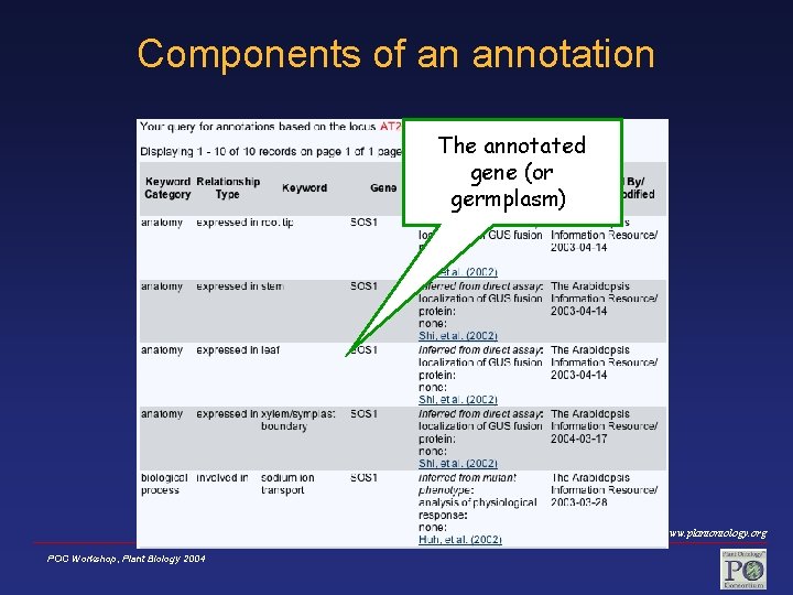 Components of an annotation The annotated gene (or germplasm) www. plantontology. org POC Workshop,