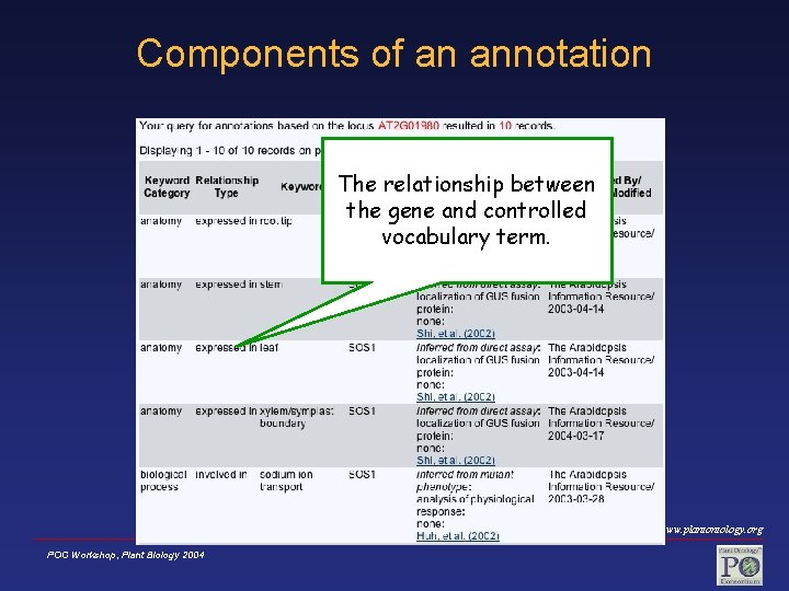 Components of an annotation The relationship between the gene and controlled vocabulary term. www.