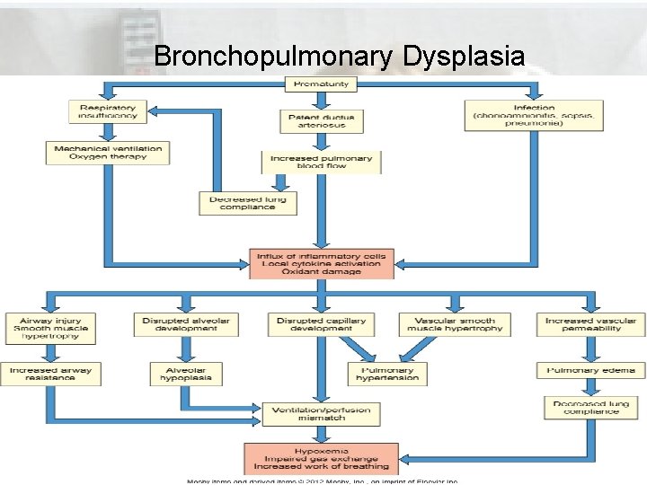 Bronchopulmonary Dysplasia Bronchopulmonary Dysplasia