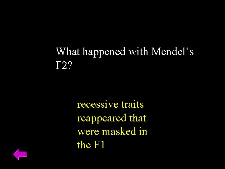 What happened with Mendel’s F 2? recessive traits reappeared that were masked in the What happened with Mendel’s F 2? recessive traits reappeared that were masked in the