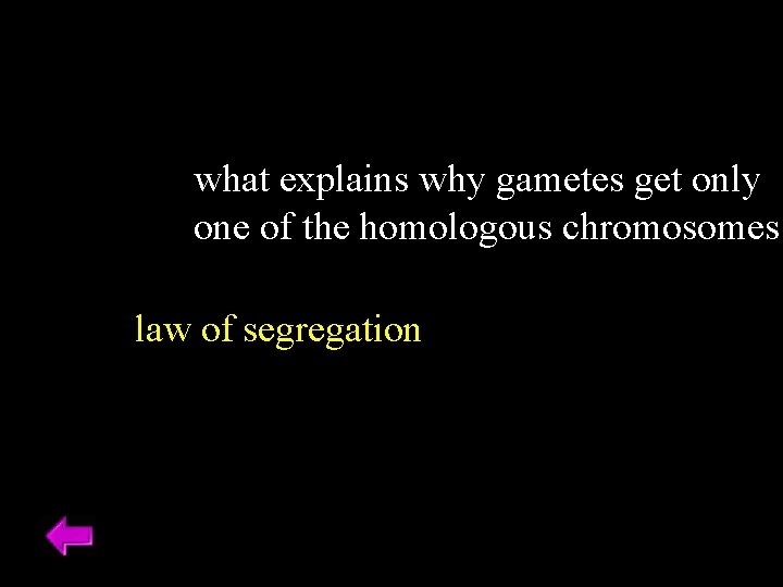 what explains why gametes get only one of the homologous chromosomes law of segregation what explains why gametes get only one of the homologous chromosomes law of segregation