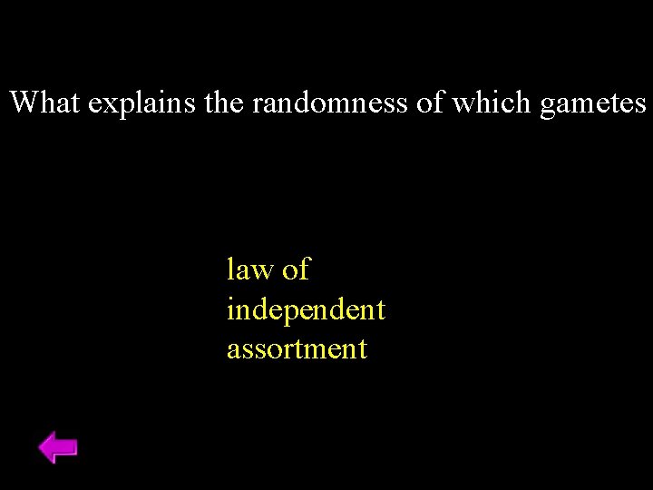 What explains the randomness of which gametes law of independent assortment What explains the randomness of which gametes law of independent assortment