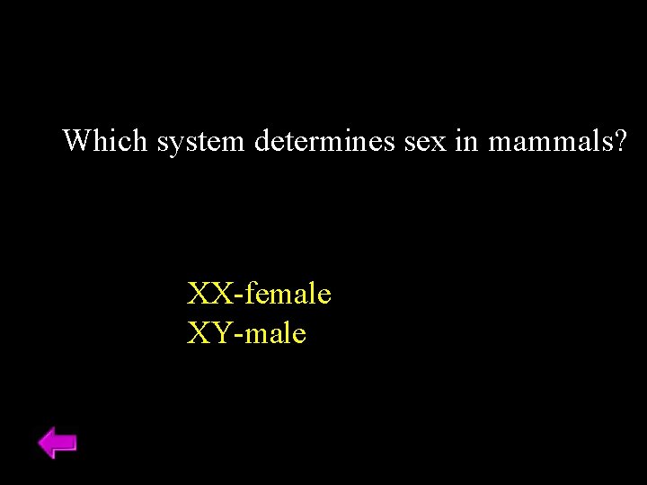 Which system determines sex in mammals? XX-female XY-male Which system determines sex in mammals? XX-female XY-male