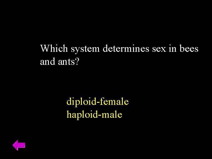 Which system determines sex in bees and ants? diploid-female haploid-male Which system determines sex in bees and ants? diploid-female haploid-male