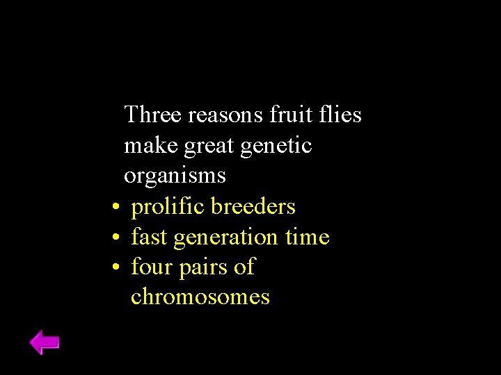Three reasons fruit flies make great genetic organisms • prolific breeders • fast generation Three reasons fruit flies make great genetic organisms • prolific breeders • fast generation