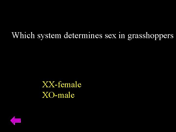 Which system determines sex in grasshoppers a XX-female XO-male Which system determines sex in grasshoppers a XX-female XO-male