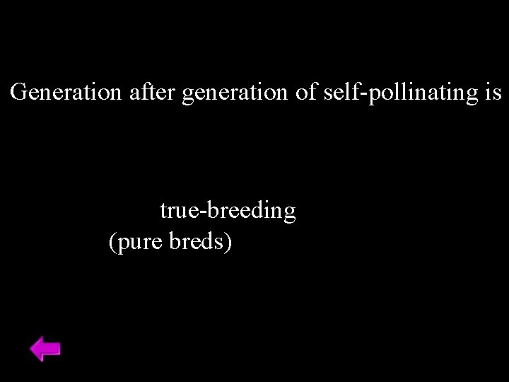 Generation after generation of self-pollinating is a true-breeding (pure breds) Generation after generation of self-pollinating is a true-breeding (pure breds)
