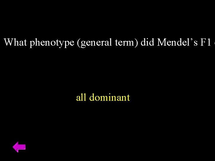 What phenotype (general term) did Mendel’s F 1 o all dominant What phenotype (general term) did Mendel’s F 1 o all dominant