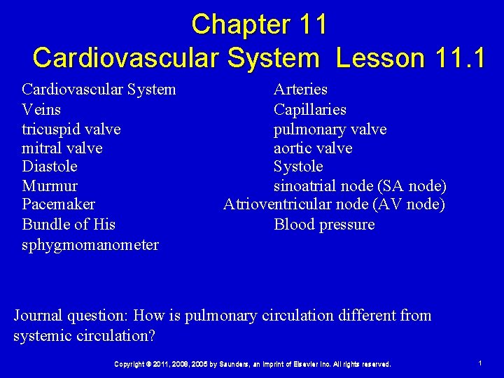 Chapter 11 Cardiovascular System Lesson 11. 1 Cardiovascular System Veins tricuspid valve mitral valve