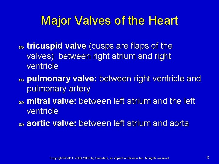 Major Valves of the Heart tricuspid valve (cusps are flaps of the valves): between