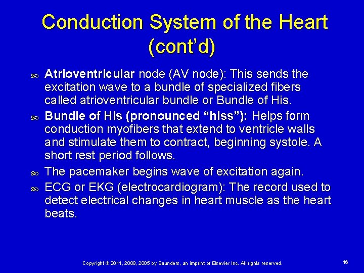 Conduction System of the Heart (cont’d) Atrioventricular node (AV node): This sends the excitation