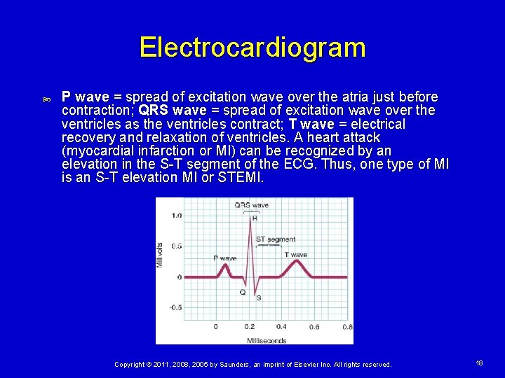 Electrocardiogram P wave = spread of excitation wave over the atria just before contraction;