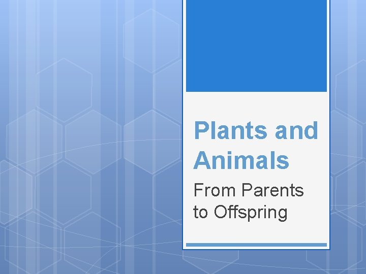 Plants and Animals From Parents to Offspring 