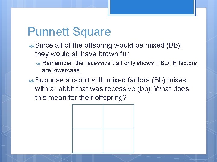 Punnett Square Since all of the offspring would be mixed (Bb), they would all