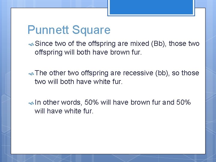 Punnett Square Since two of the offspring are mixed (Bb), those two offspring will