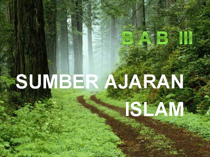 B A B III SUMBER AJARAN ISLAM 