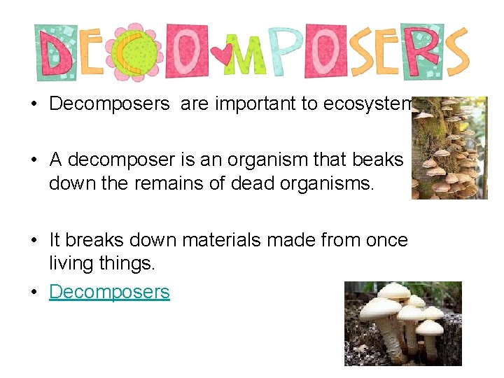  • Decomposers are important to ecosystems. • A decomposer is an organism that