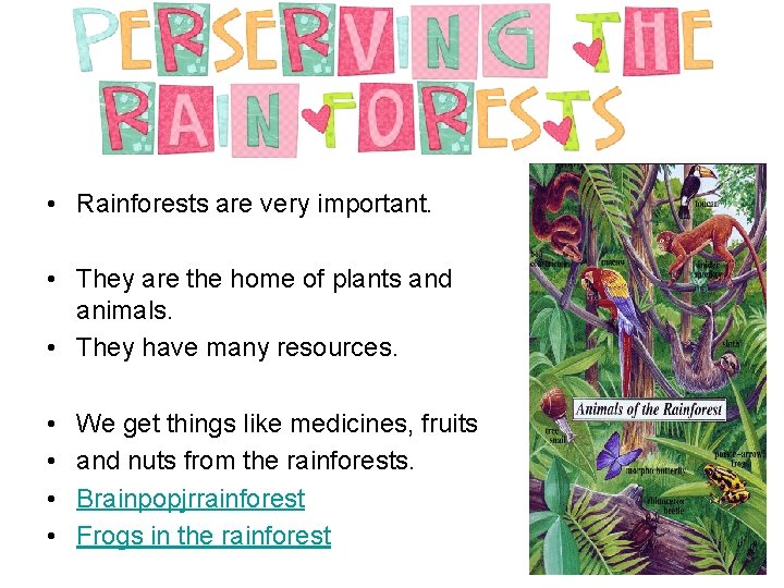  • Rainforests are very important. • They are the home of plants and