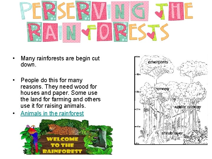  • Many rainforests are begin cut down. • People do this for many