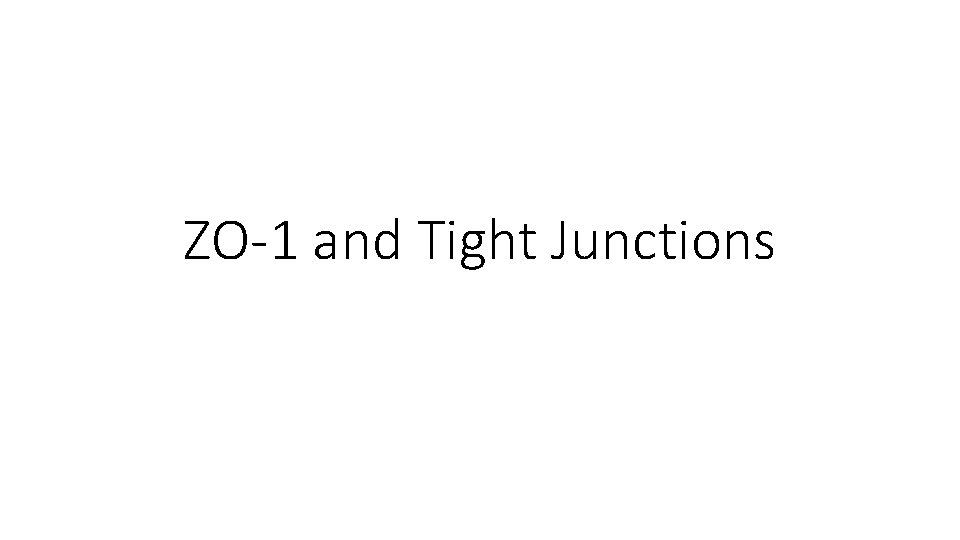 ZO-1 and Tight Junctions 